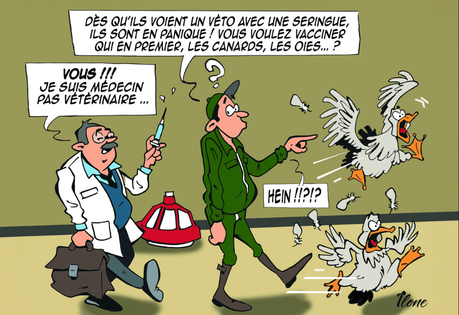 Dessin humoristique sur les vaccins antigrippaux pour les humains en contact avec les porcs et les volailles - Illustration La vaccination contre la grippe : un levier face aux risques zoonotiques