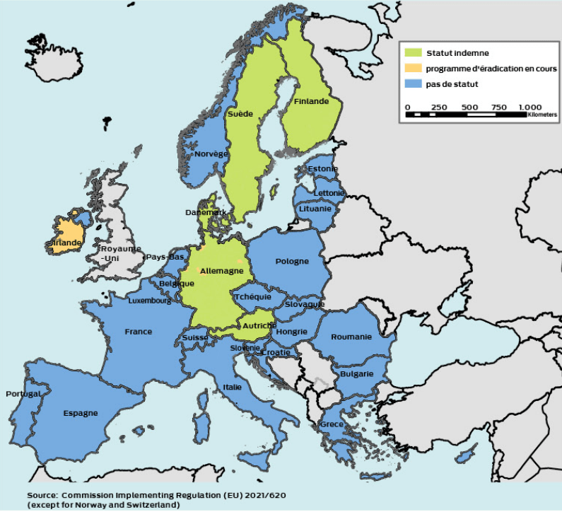 Statu BVD des pays sur une carte de l'Europe - Illustration BVD : qu’en est-il dans les pays voisins ?