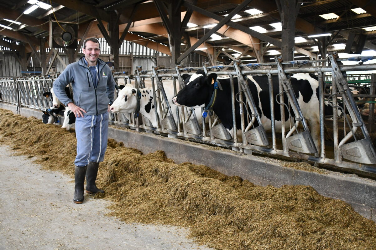 un homme dans une stabulation avec des vaches - Illustration Choisir le menu pour construire le revenu