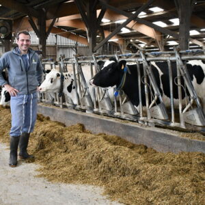 un homme dans une stabulation avec des vaches