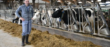 un homme dans une stabulation avec des vaches