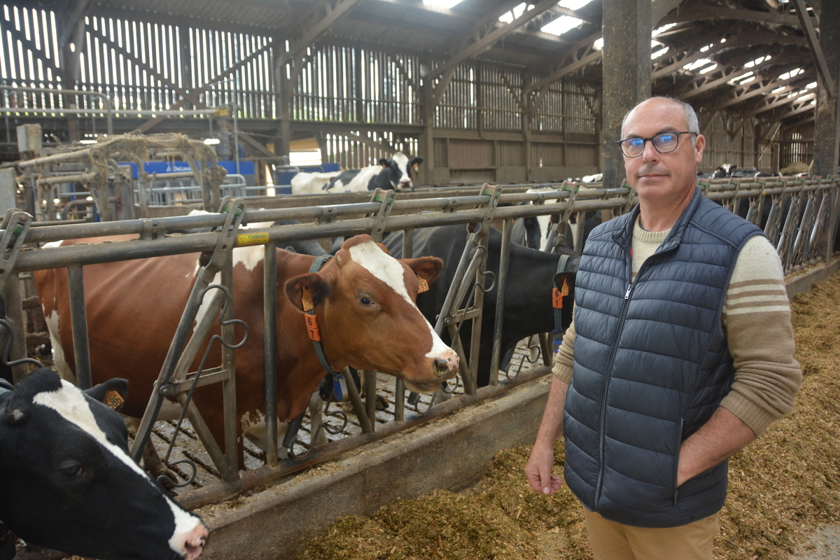 Pascal Le Breton avec ses vaches - Illustration L’application qui optimise les tâches