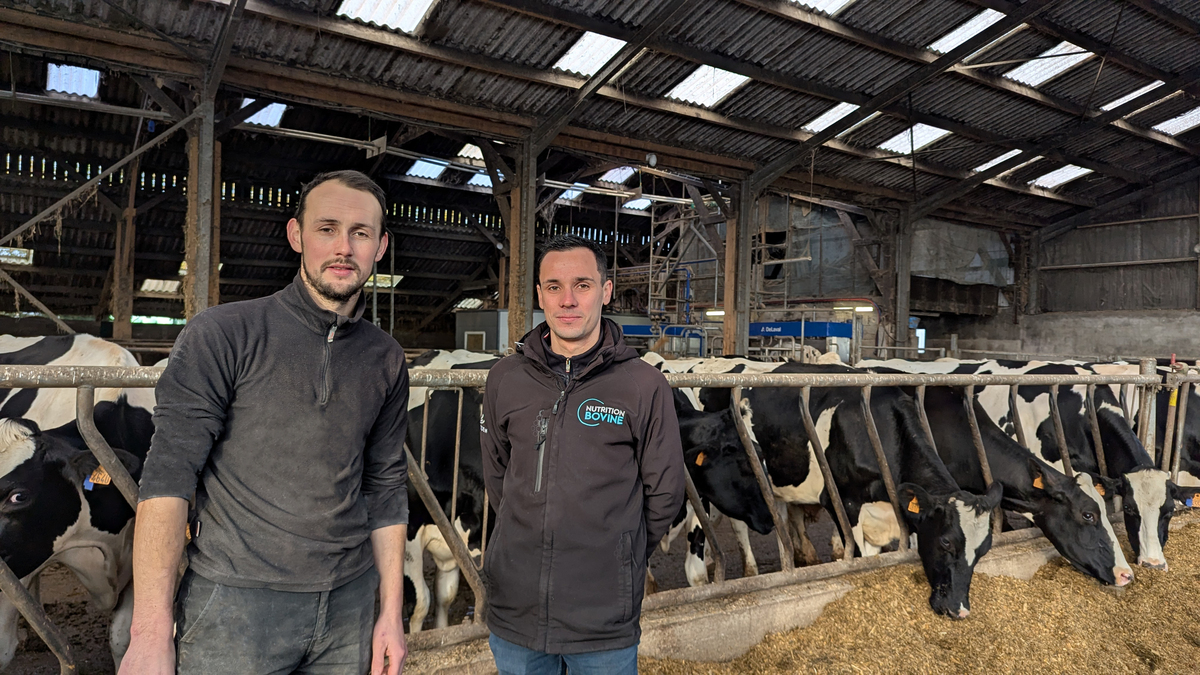 Deux hommes dans une stabulation de vaches laitières - Illustration Le niveau énergétique de la ration, la clé de la performance