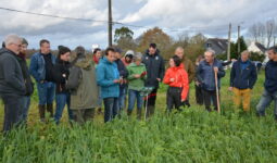 Groupe d'agriculteurs dans un champ