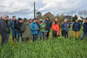 Groupe d'agriculteurs dans un champ