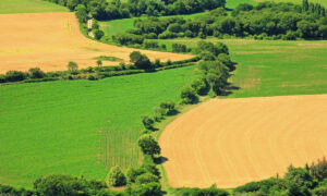 Vue aérienne d'un paysage de bocage avec des champs cultivés