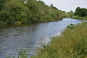 vue sur la rivière Vilaine