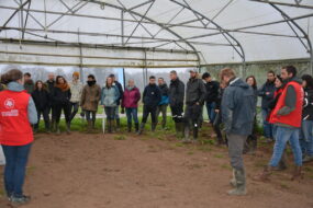 Groupe de maraîcher sous une serre