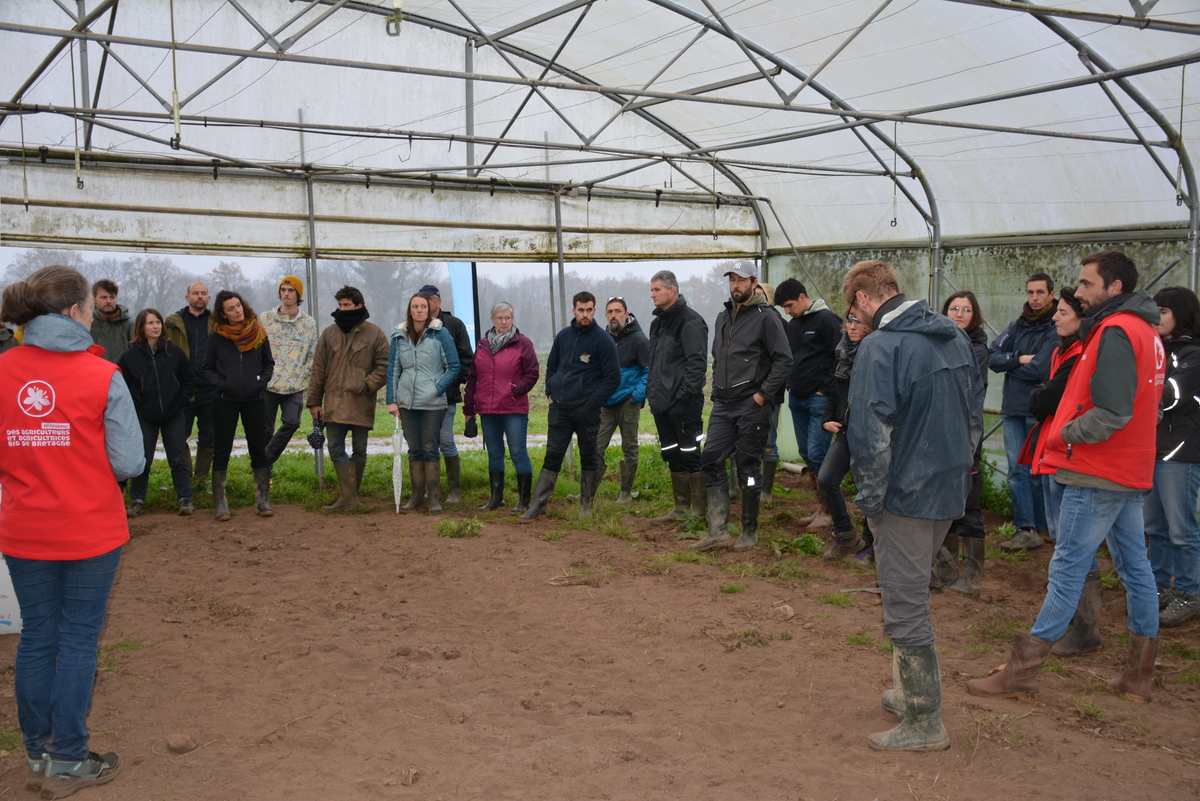 Groupe de maraîcher sous une serre - Illustration Le trèfle fertilise les sols de la ferme Court-Circuit