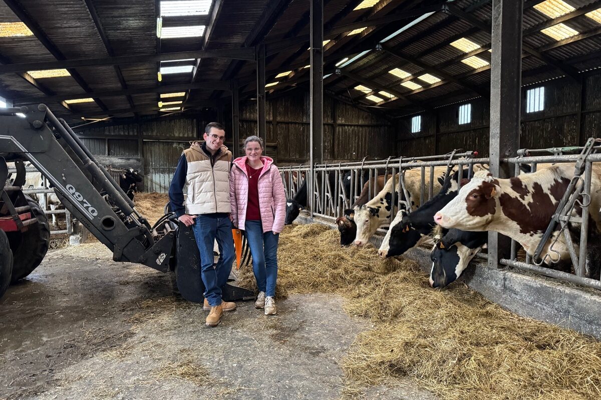 Un couple déleveurs avec ses vaches à l'étable.  - Illustration Porteurs de projet en Bretagne : « Créer notre projet à nous »