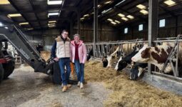 Un couple déleveurs avec ses vaches à l'étable.