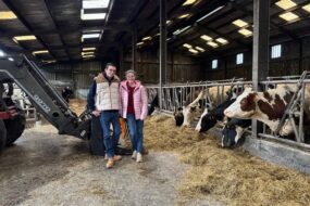 Un couple déleveurs avec ses vaches à l'étable.