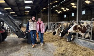 Un couple déleveurs avec ses vaches à l'étable.