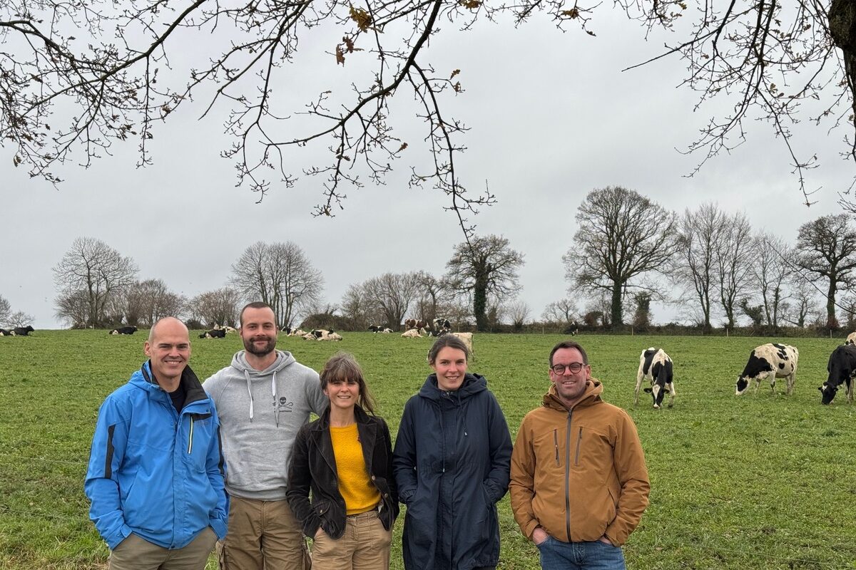 Trois hommes et deux femmes devant un eprairie avec des vaches laitières au pâturage - Illustration Se former pour affiner son projet d’installation