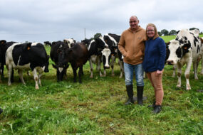 Les éleveurs devant les vaches laitières au pâturage.