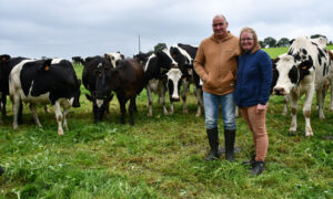 Les éleveurs devant les vaches laitières au pâturage.