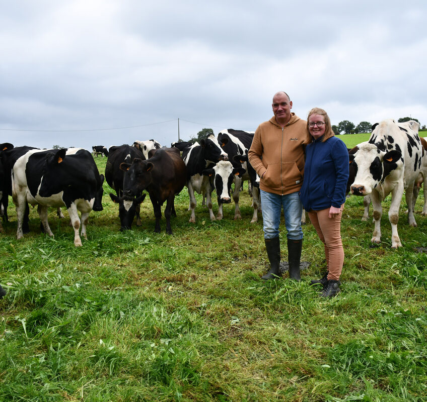 Les éleveurs devant les vaches laitières au pâturage. - Illustration Pâturage maximal et vêlages  sur 3 mois avec les kiwis