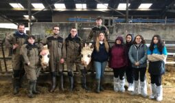 Groupe d'élèves avec des vaches