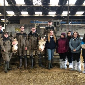 Groupe d'élèves avec des vaches