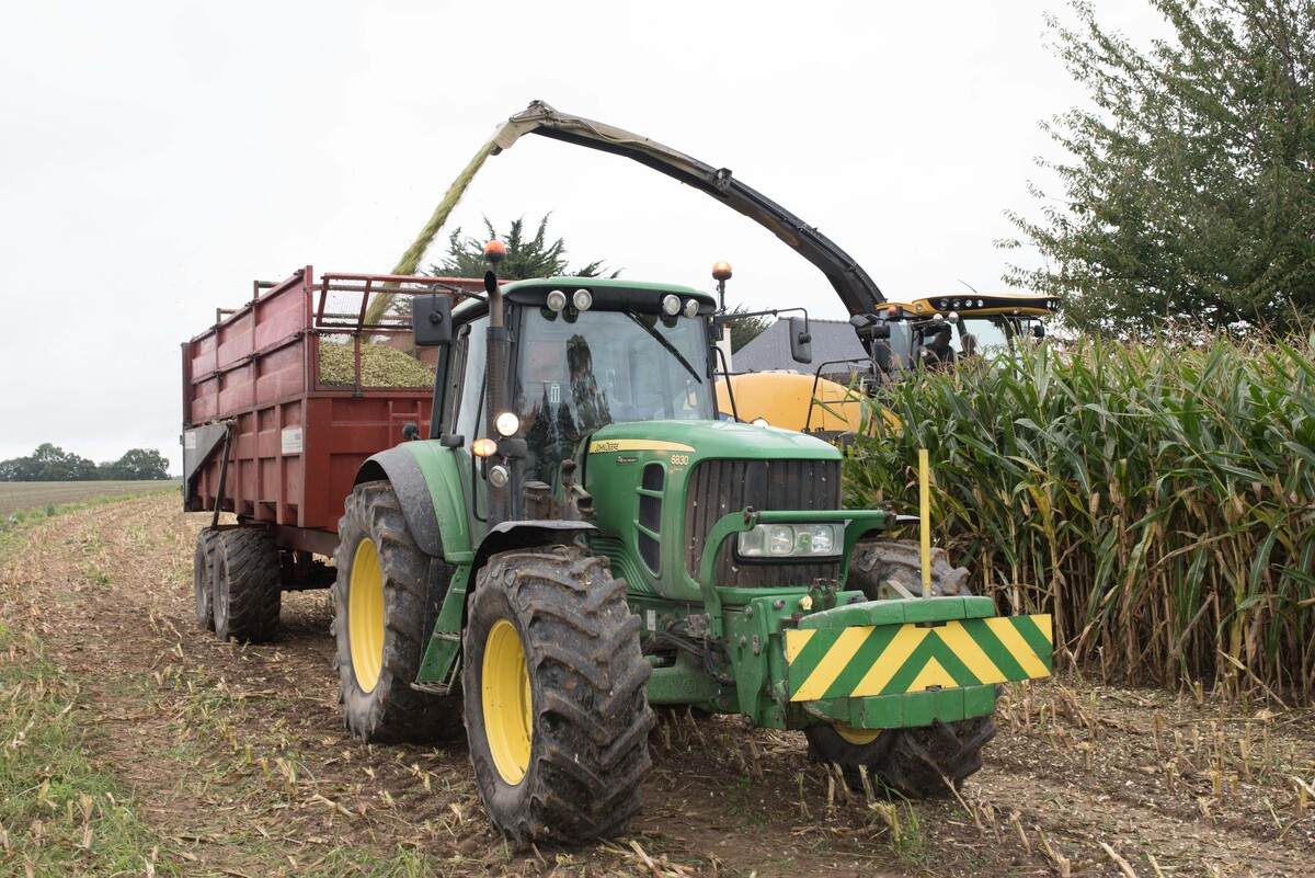 Un chantier de récolte de maïs fourrage avec une ensileuse jaune et un tracateur vert tirant une remorque rouge - Illustration De bons ensilages 2024