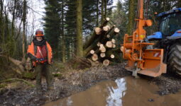 Jean-Baptiste Le Floch, entrepreneur  de travaux forestiers dans le Finistère, dans une forêt