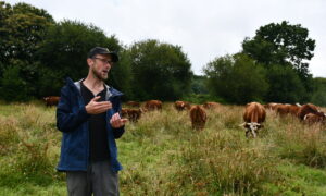 Un éleveur dans une des prairies en zone humide devant ses bovins.