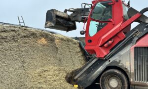 désileuse en train de charger au silo