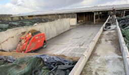 Un robot d'alimentation prélève de l'ensilage d'herbe dans un silo devant une étable.