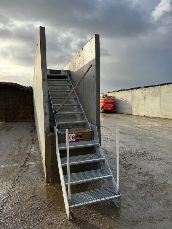 Un escalier sécurisé pour accéder au mur des silos d'ensilage dans un élevage laitier.