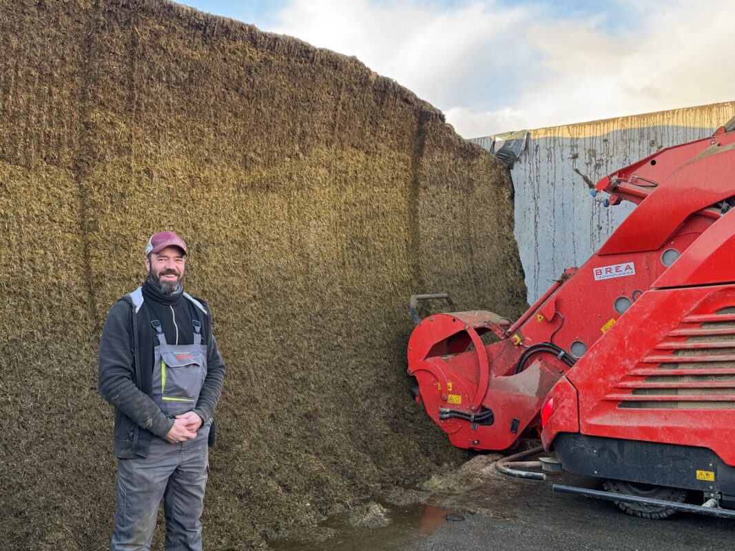 Un éleveur devant le front d'attaque d'un silo d'ensilage de maïs