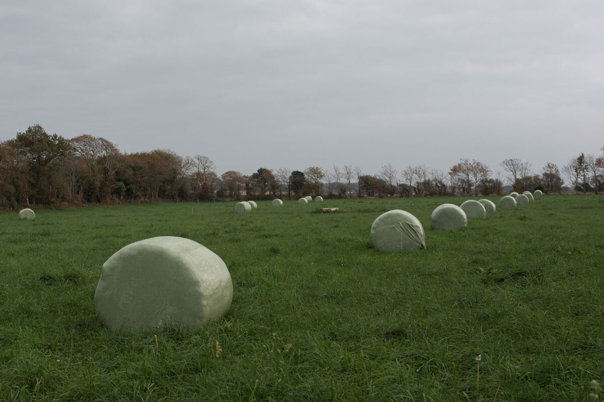 balles d'enrubanné sur une parcelle de pâturage - Illustration Moins de tracteur avec le bale grazing