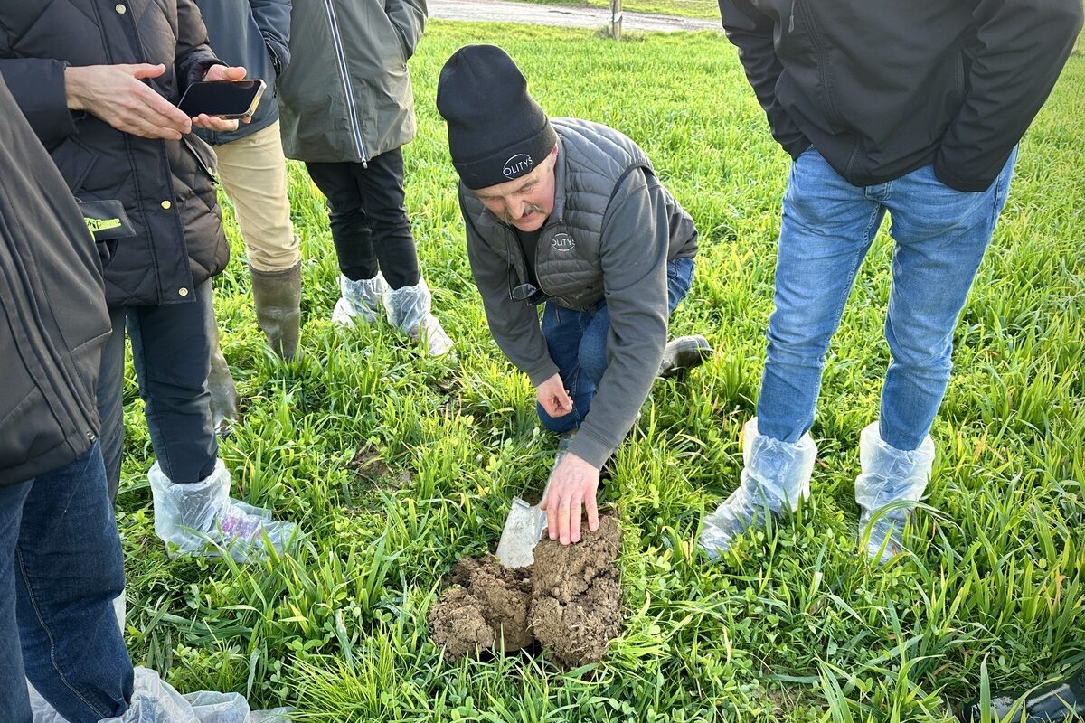 agriculteur dans parcelle de méteil - Illustration « Les vers de terre ne demandent ni salaire, ni MSA »