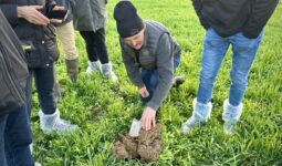 agriculteur dans parcelle de méteil