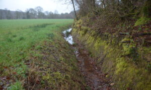 Fossé en bordure de champ