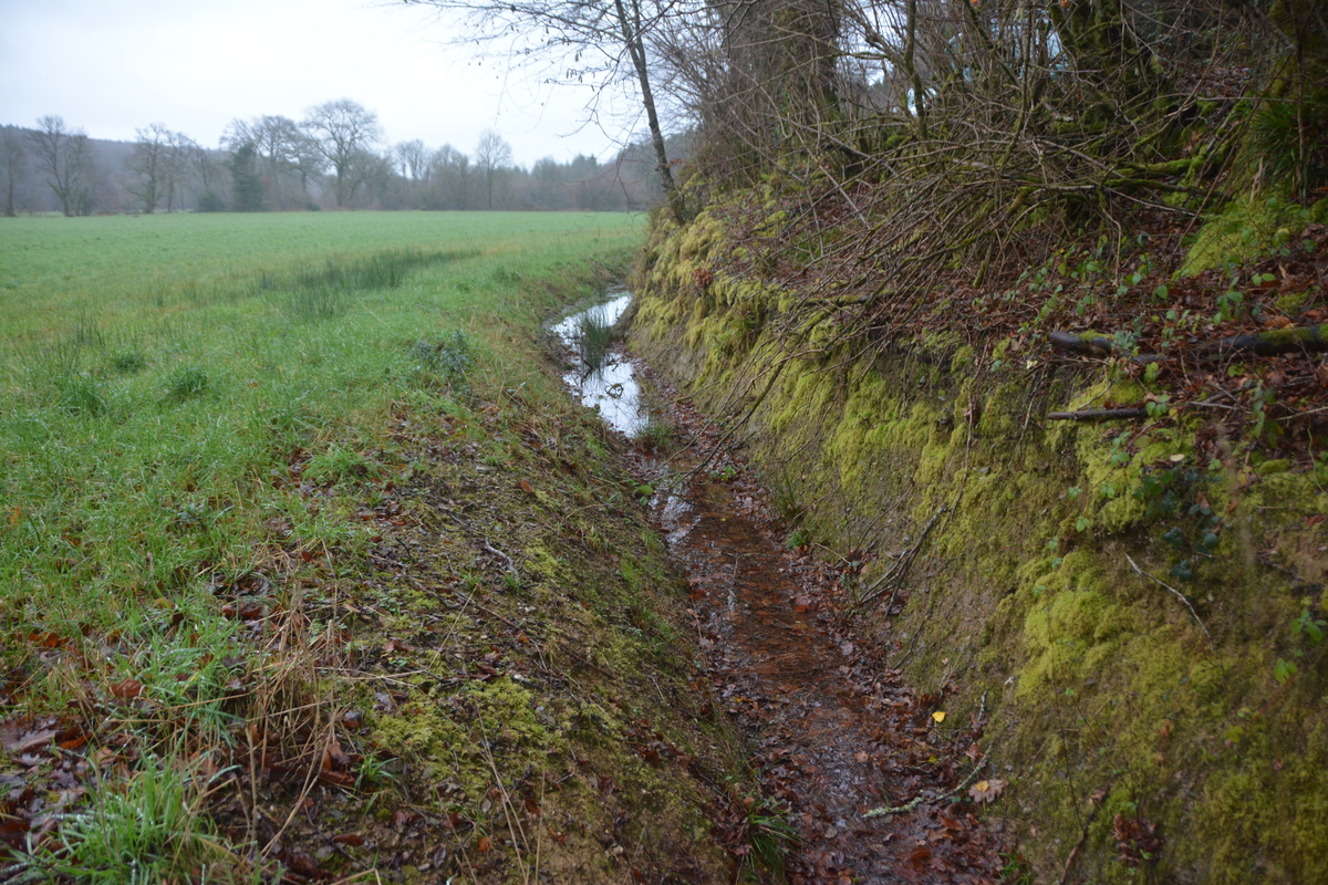 Fossé en bordure de champ - Illustration Entretien et réglementation : Des fossés  remplis de flou