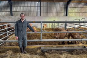 Un éleveur dans un bâtiment, devant ses veaux de race Blonde d'Aquitaine