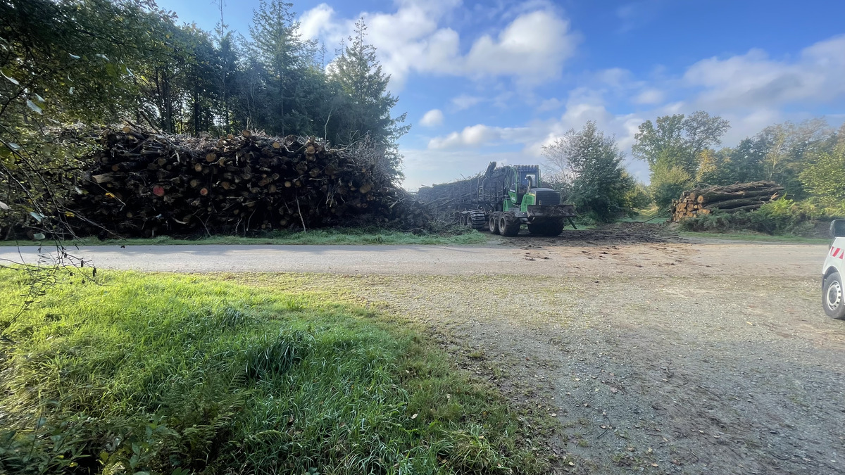 Un chantier de récolte de bois - Illustration La forêt au centre  de la résolution  de la crise climatique