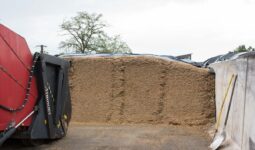 Le front d'attaque d'un silo d'ensilage de maïs