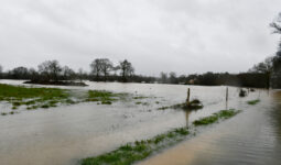 inondations dans un champ