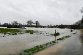 inondations dans un champ