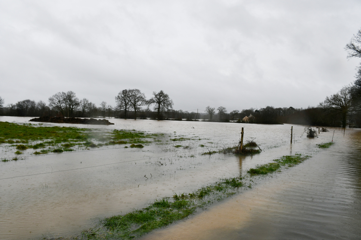 inondations dans un champ - Illustration Inondations, des contacts  à la Chambre d’agriculture