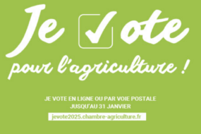 Une partie de l'affiche des élections chambres d'agriculture 2025