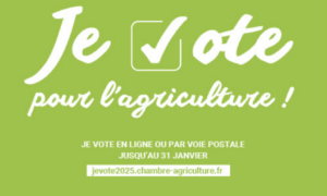 Une partie de l'affiche des élections chambres d'agriculture 2025