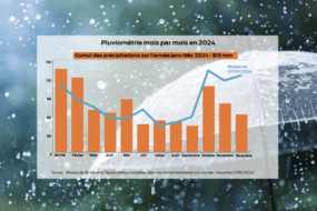 Graphique de la pluviométrie 2024 en Bretagne mois par mois