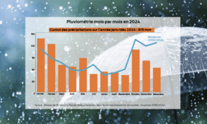 Graphique de la pluviométrie 2024 en Bretagne mois par mois