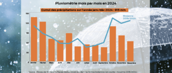 Graphique de la pluviométrie 2024 en Bretagne mois par mois