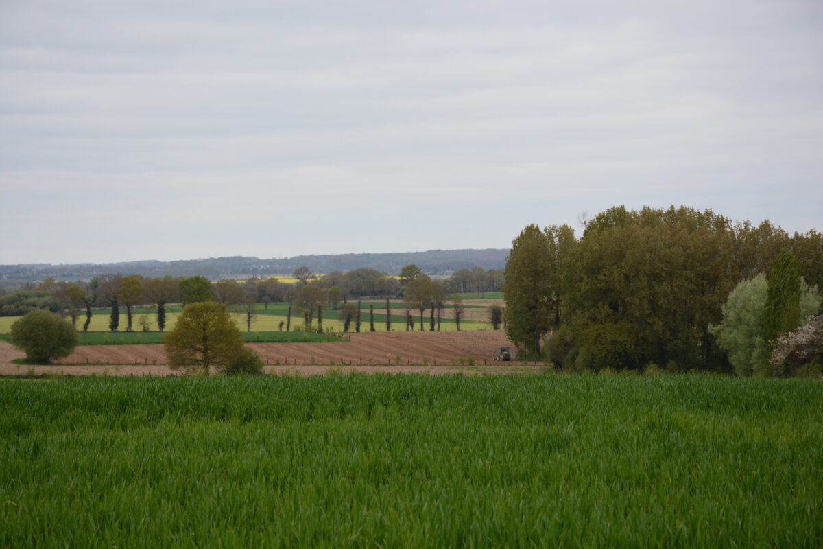 Paysage de campagne - Illustration Des aides du 1er pilier pour financer les MAEC et le 2e pilier ?