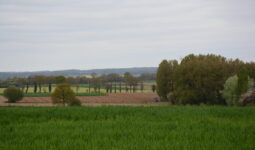 Paysage de campagne