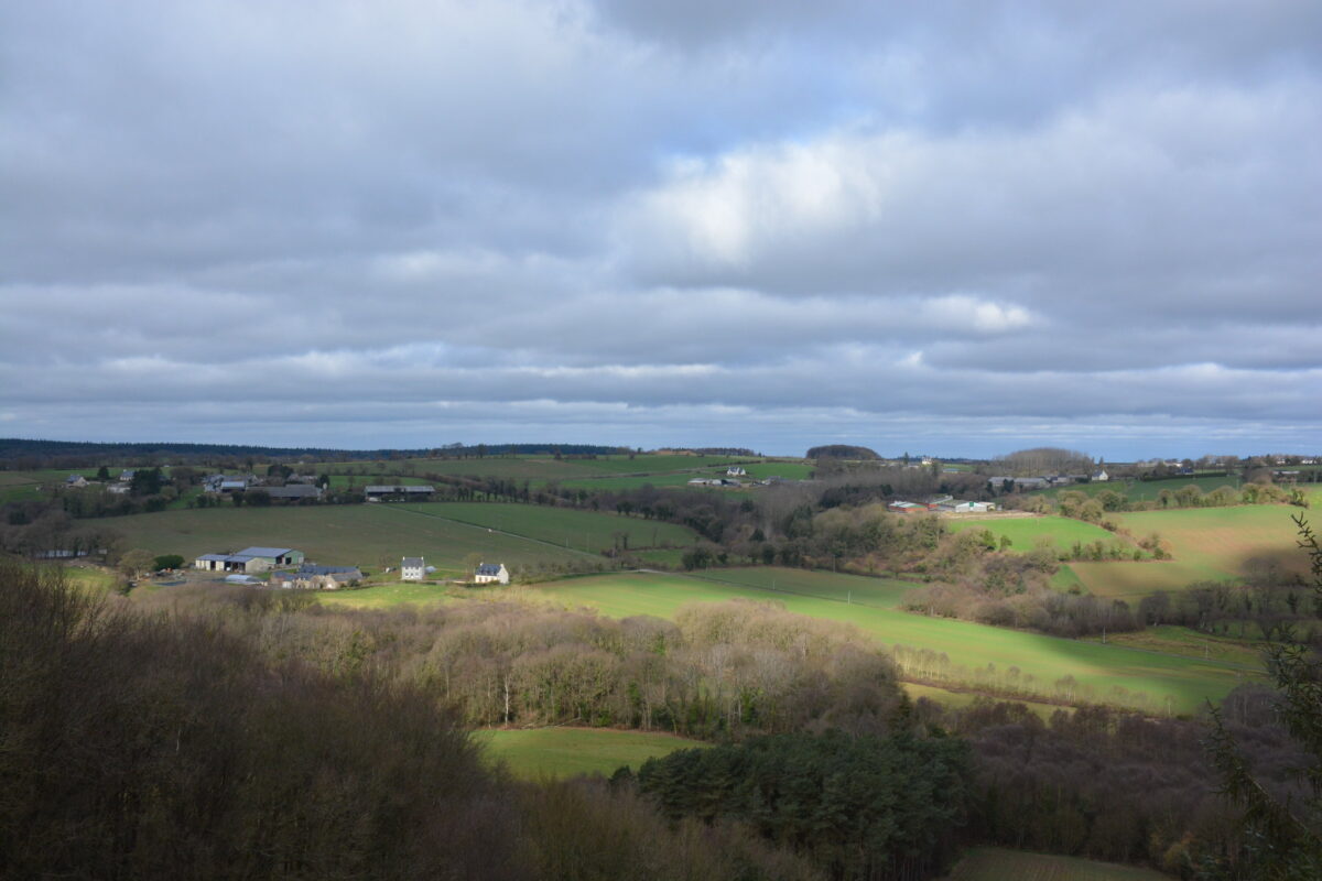 Un paysage de campagne - Illustration Faut-il désintensifier l’élevage breton ?