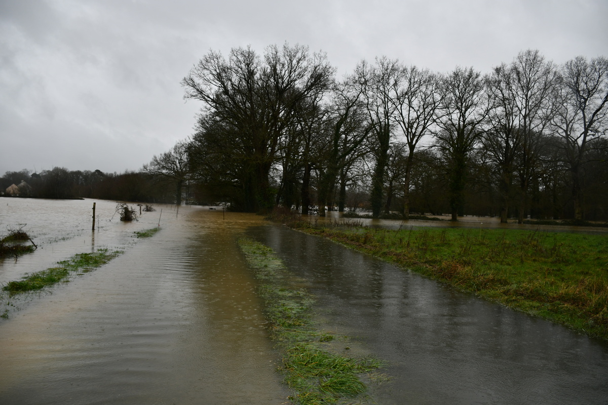 inondations en Ille-et-Vilaine en février 2025 - Illustration La triade bocage, élevage, pâturage : Un outil moderne face aux crues